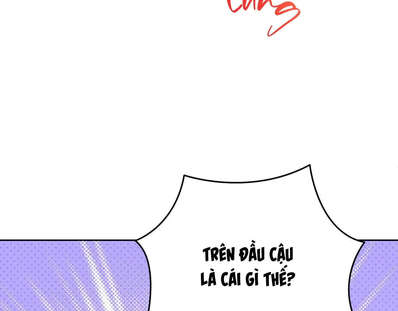 Không phải đã kết thúc rồi sao? - Chương 1