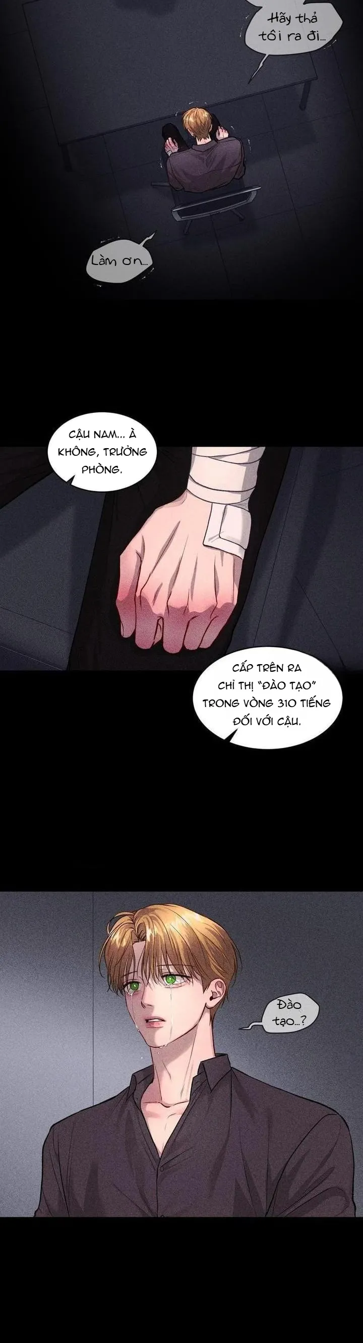 Dự Án Ron - Chương 3
