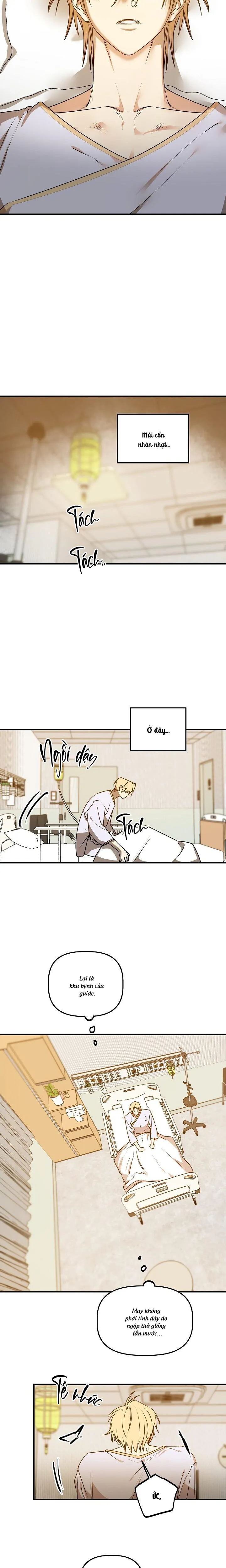 Hướng Dẫn Gần Tương Thích - Chương 8