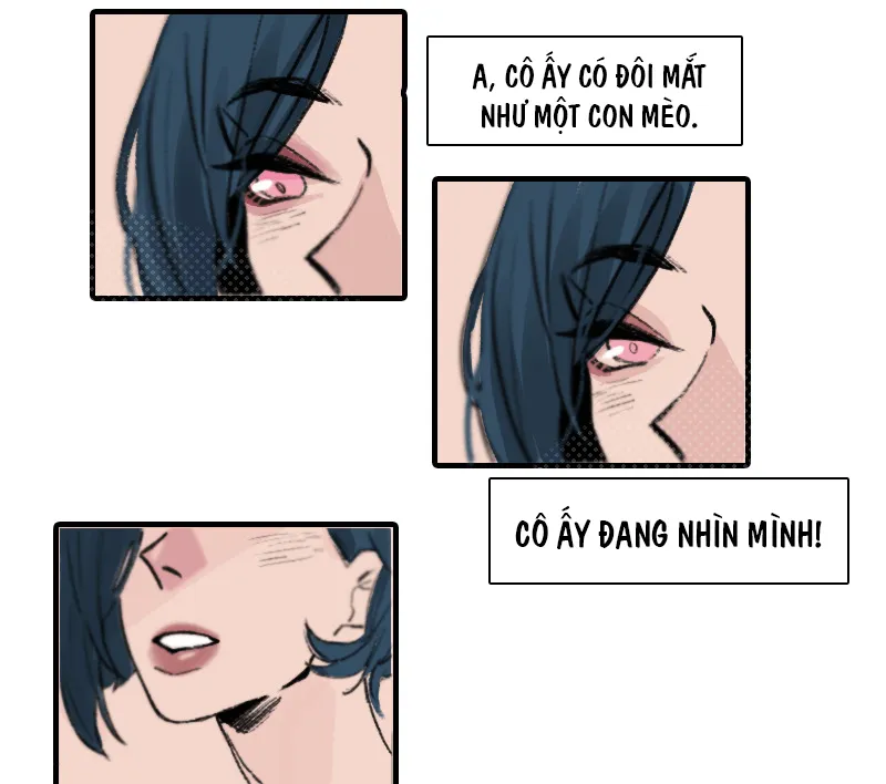 Tình Cờ Thật Đấy - Chương 1