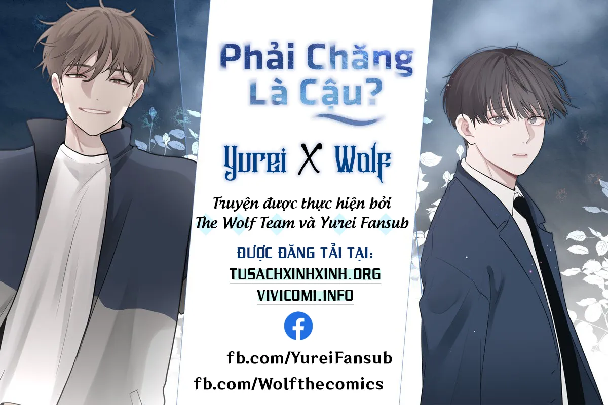Phải Chăng Là Cậu - Chương 48
