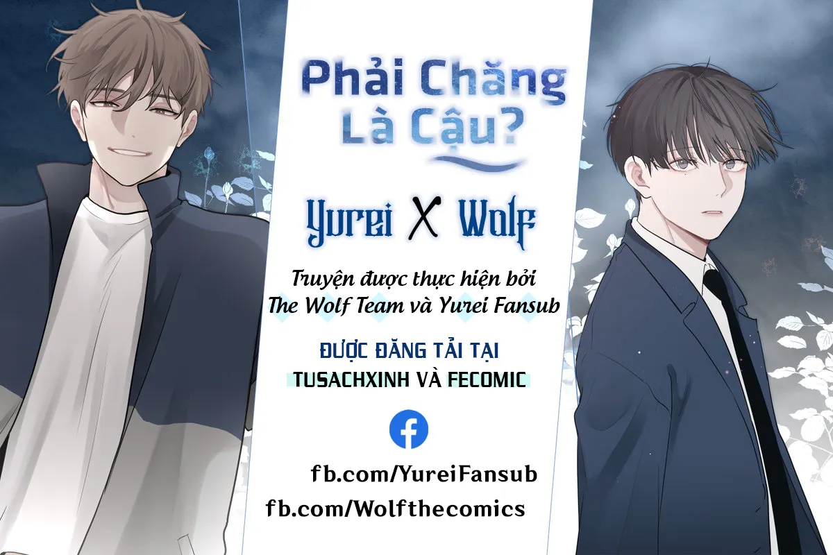 Phải Chăng Là Cậu - Chương 11