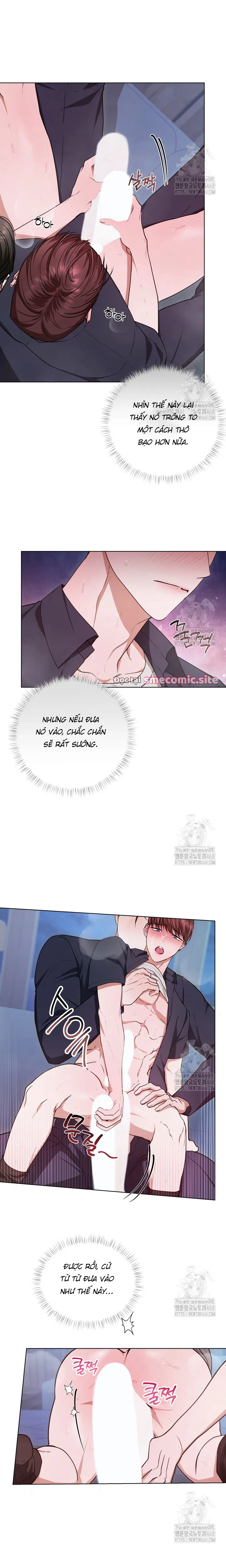 Cô dâu của rồng - NT7