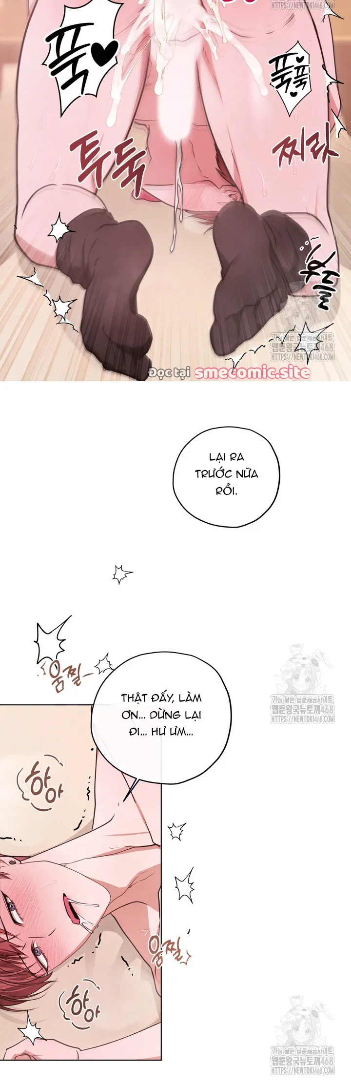 Cô dâu của rồng - NT7