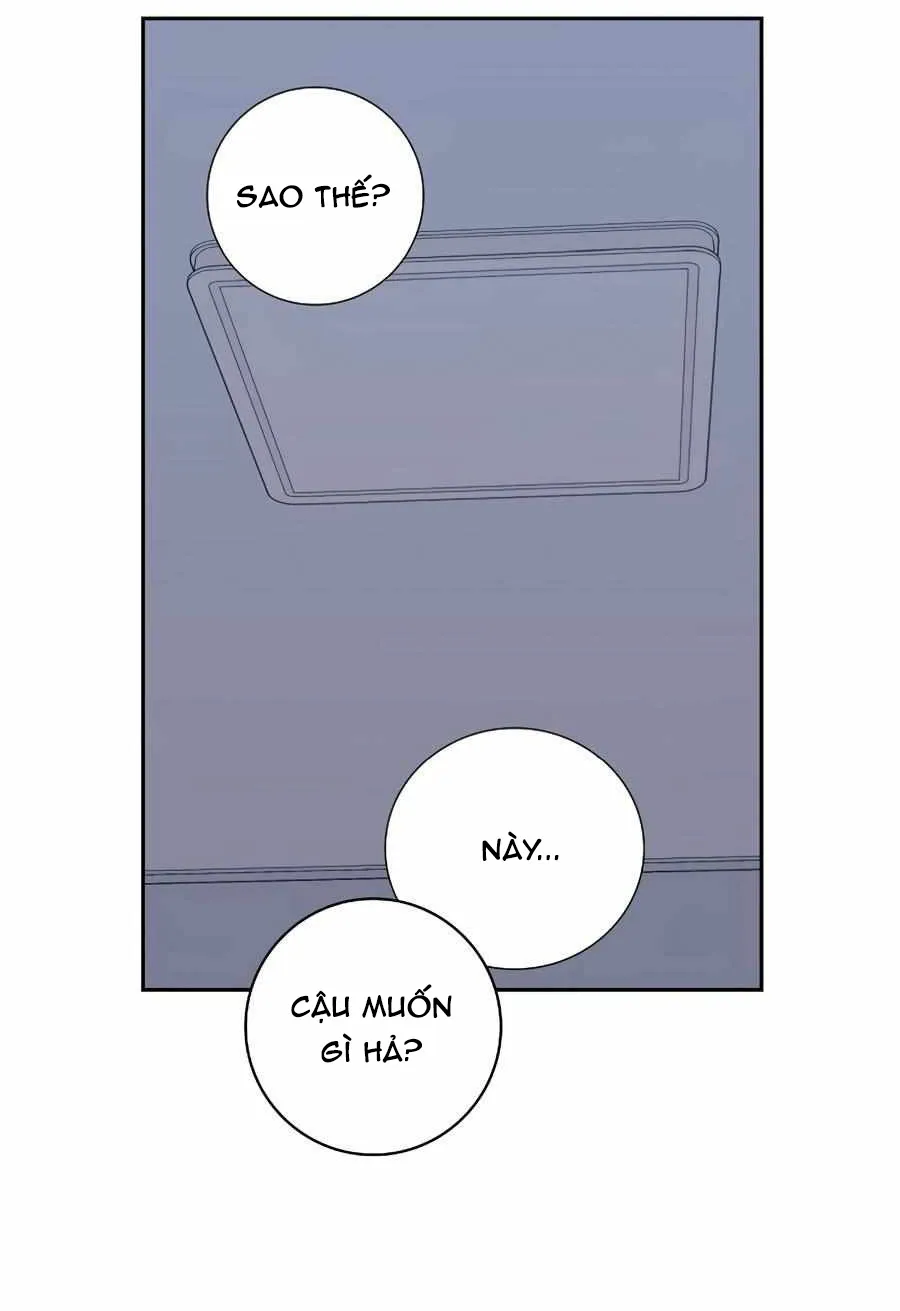 Người Tình, Mèo và Kẻ Sát Nhân - Chương 34
