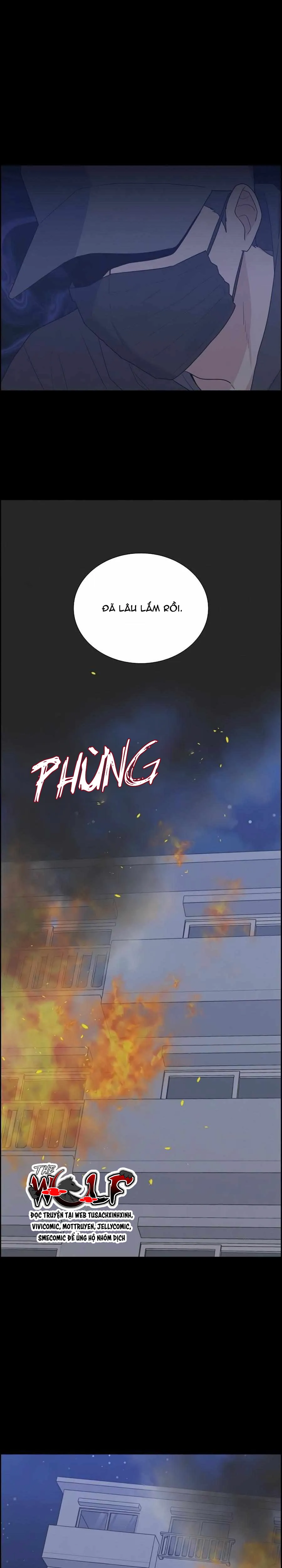 Người Tình, Mèo và Kẻ Sát Nhân - Chương 33
