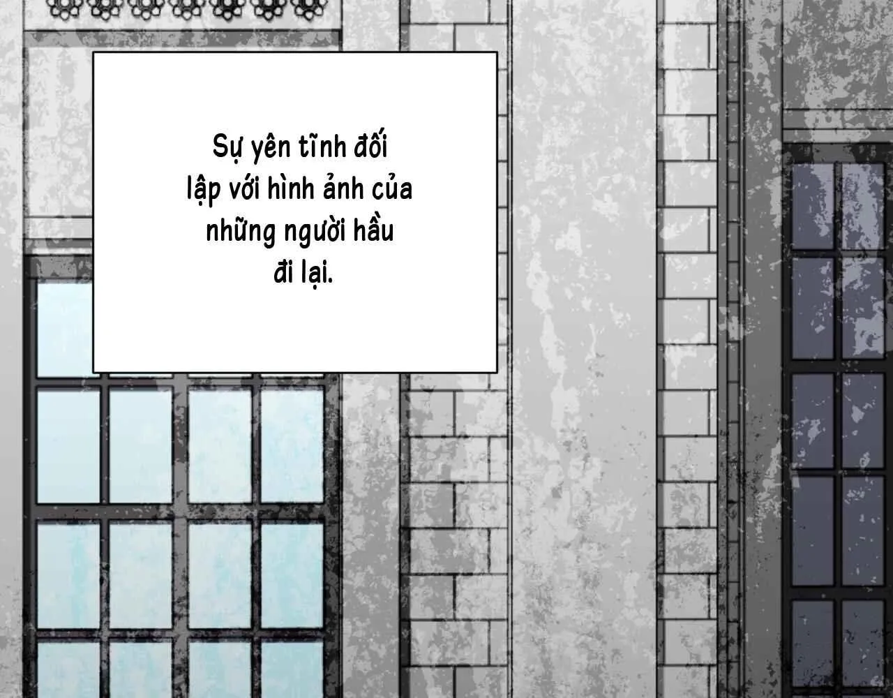 Pit A Pat - Chương 18