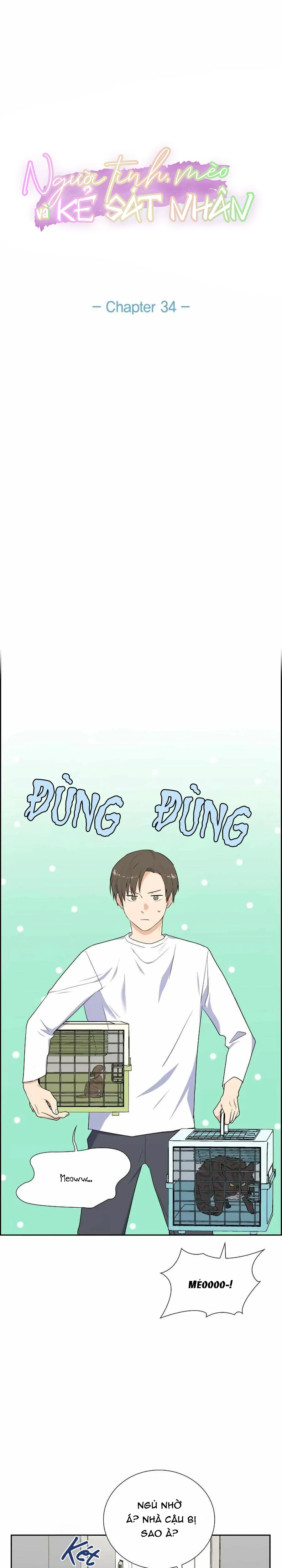 Người Tình, Mèo và Kẻ Sát Nhân - Chương 34