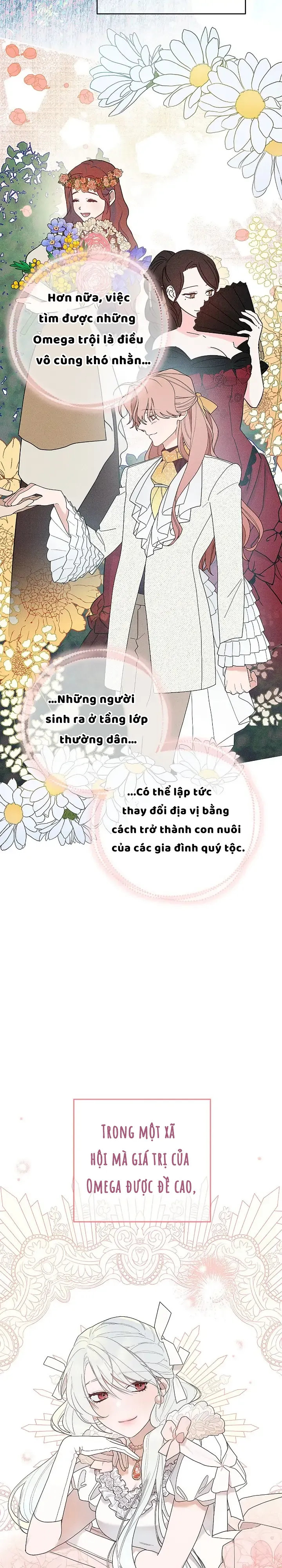 Hoàng tử lưu manh thực chất là một Omega. - Chương 2