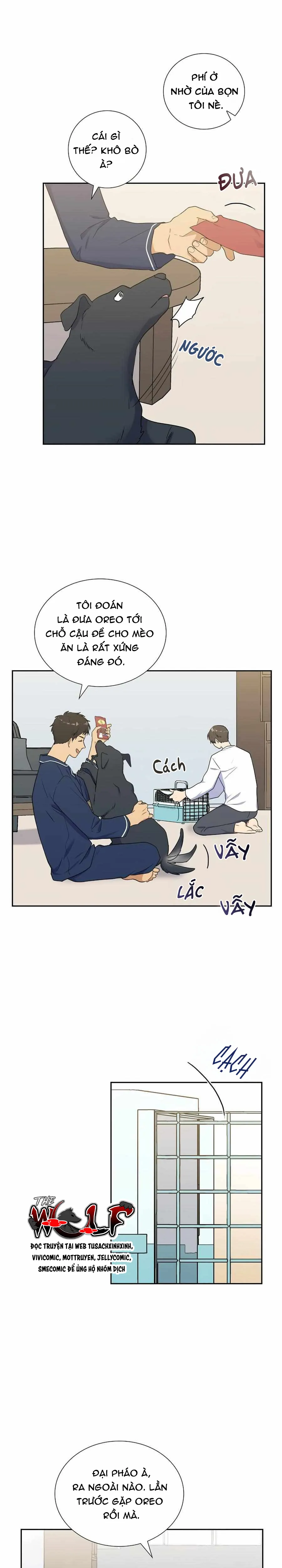Người Tình, Mèo và Kẻ Sát Nhân - Chương 34