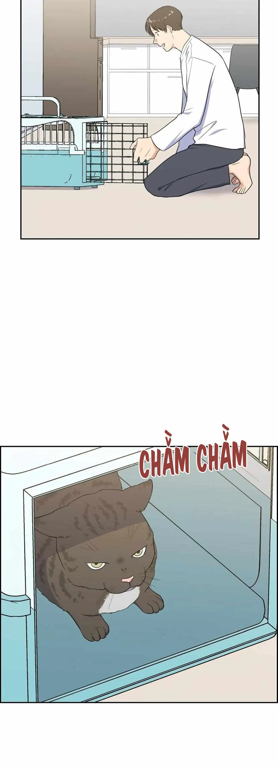 Người Tình, Mèo và Kẻ Sát Nhân - Chương 34