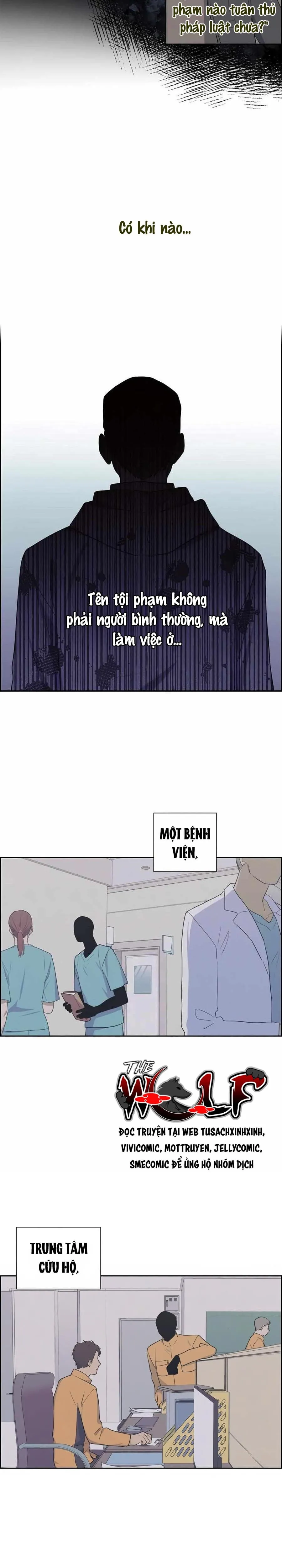 Người Tình, Mèo và Kẻ Sát Nhân - Chương 35