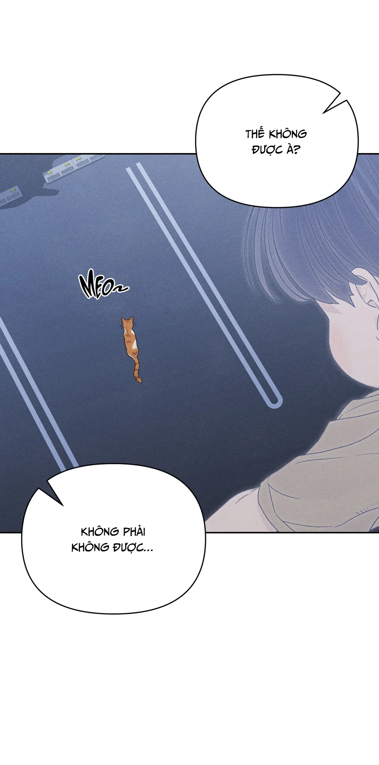 Tình yêu chớm nở giữa những nỗi sợ - Chương 6