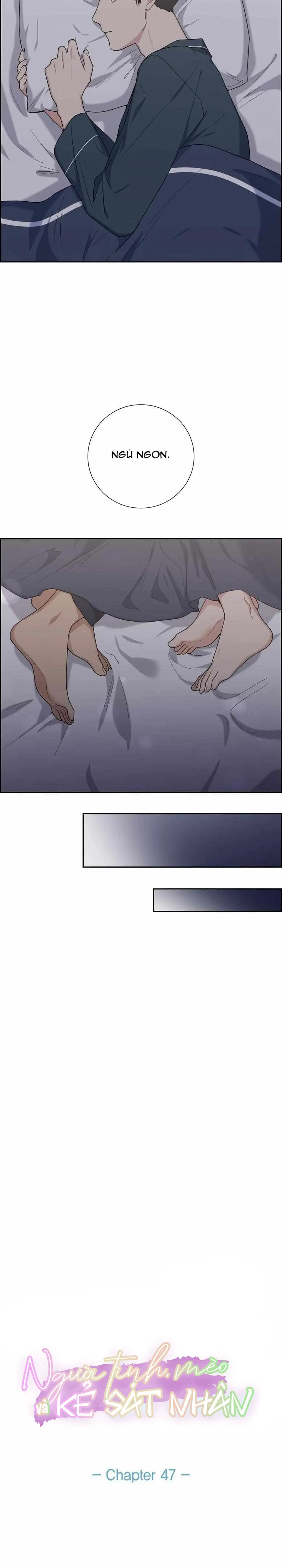 Người Tình, Mèo và Kẻ Sát Nhân - Chương 47