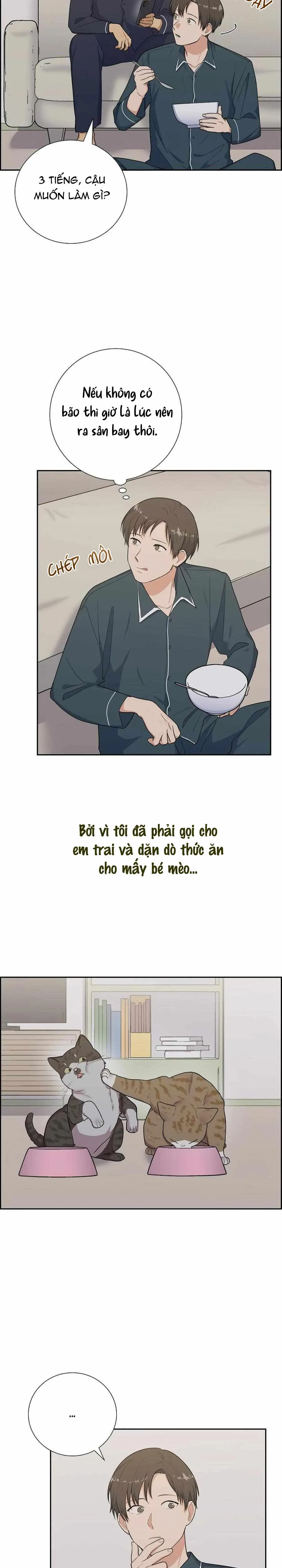 Người Tình, Mèo và Kẻ Sát Nhân - Chương 47