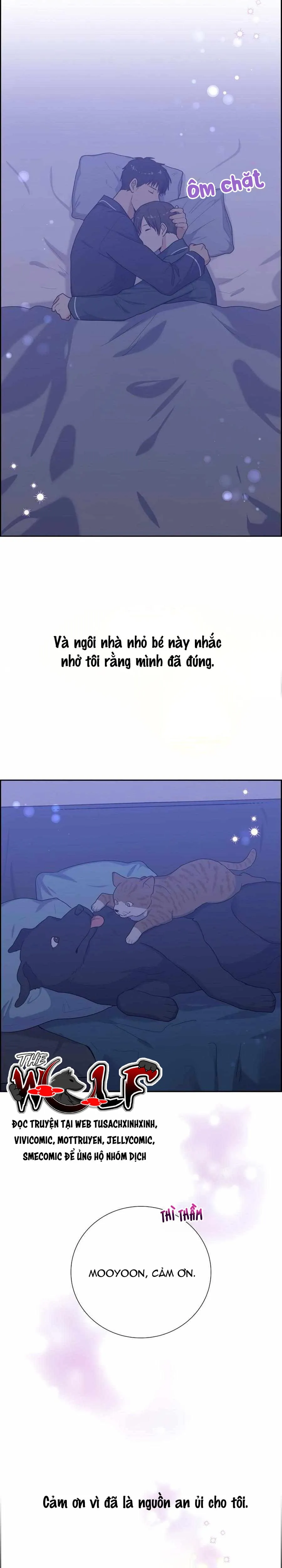 Người Tình, Mèo và Kẻ Sát Nhân - Chương 48