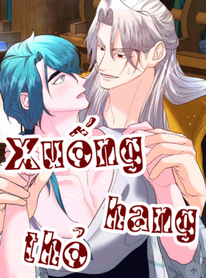 Xuống hang thỏ