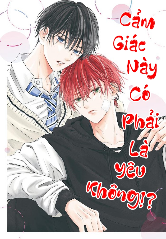 Cảm Giác Này Có Phải Là Yêu Không!?