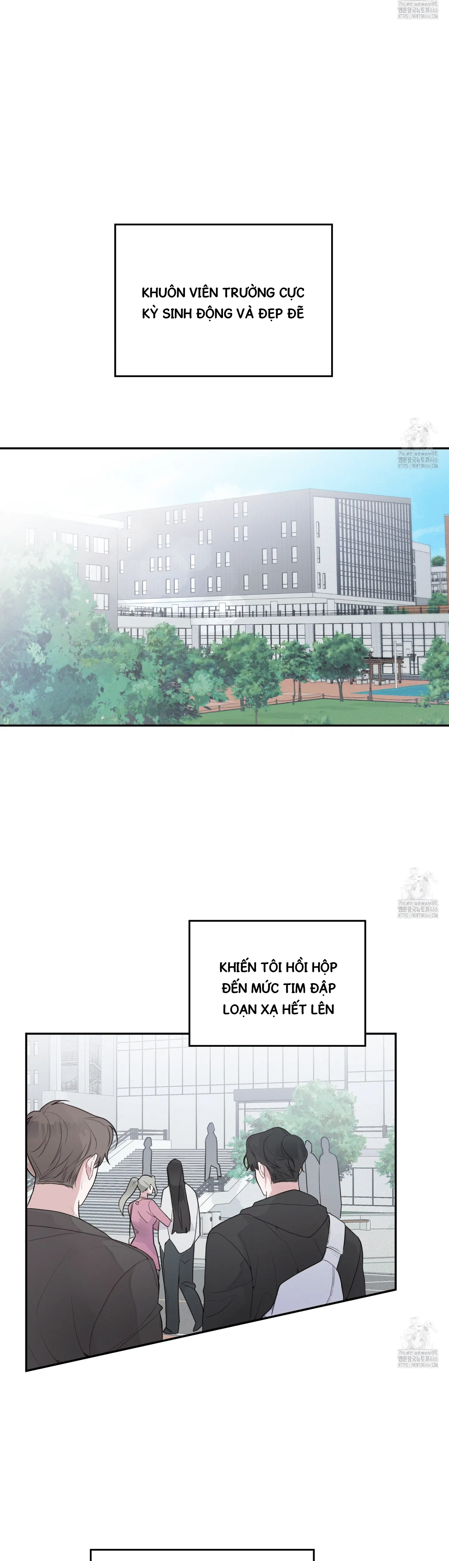 Xúc Xắc May Mắn - Chương 1