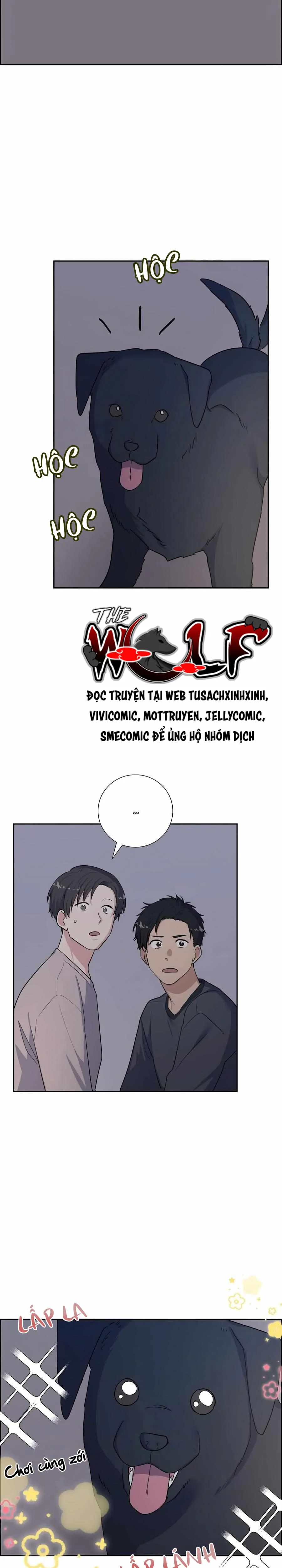 Người Tình, Mèo và Kẻ Sát Nhân - Chương 44