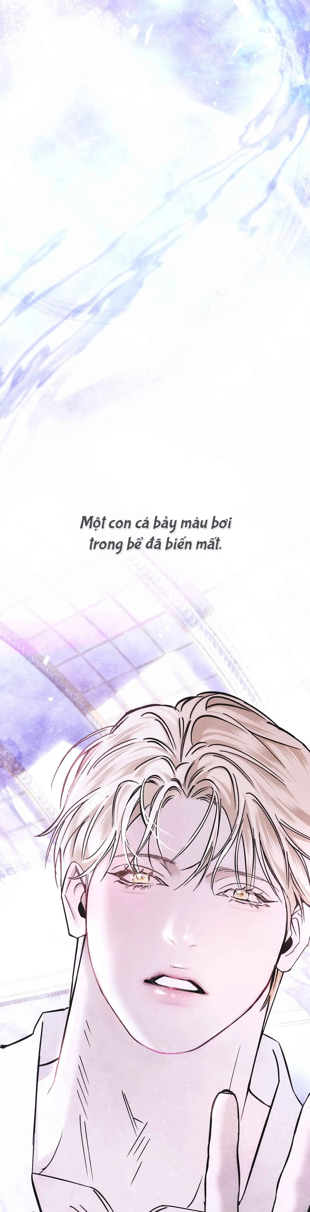 Bể cá - Chương 1