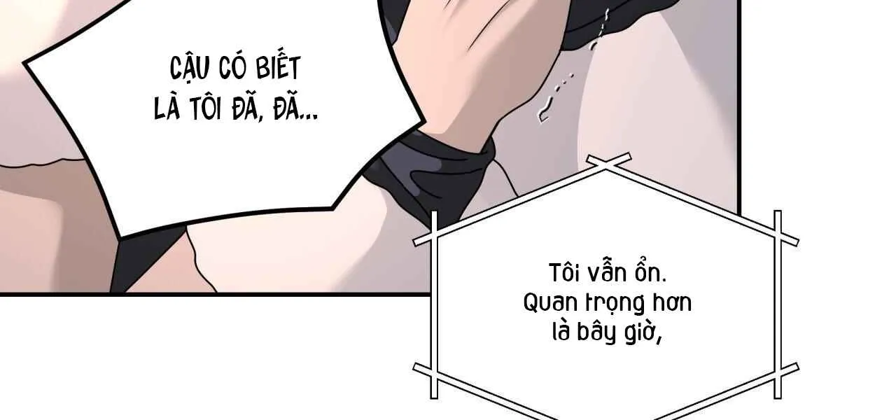 Cây Không Rễ - Chương 85