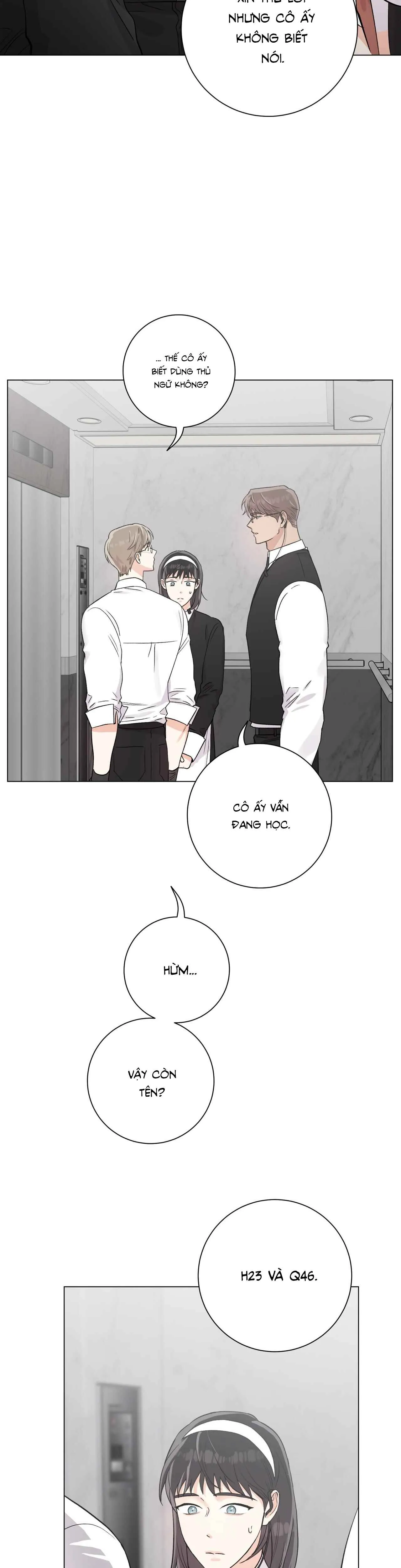 Pit A Pat - Chương 19