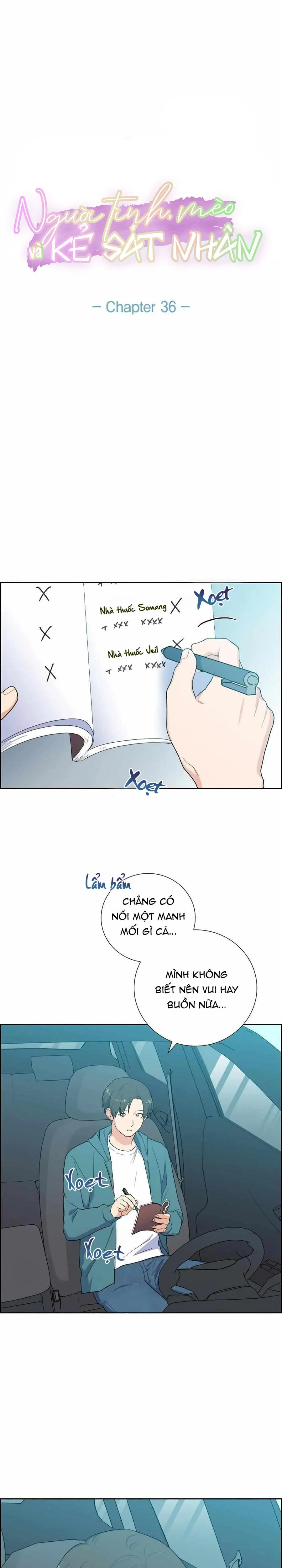 Người Tình, Mèo và Kẻ Sát Nhân - Chương 36
