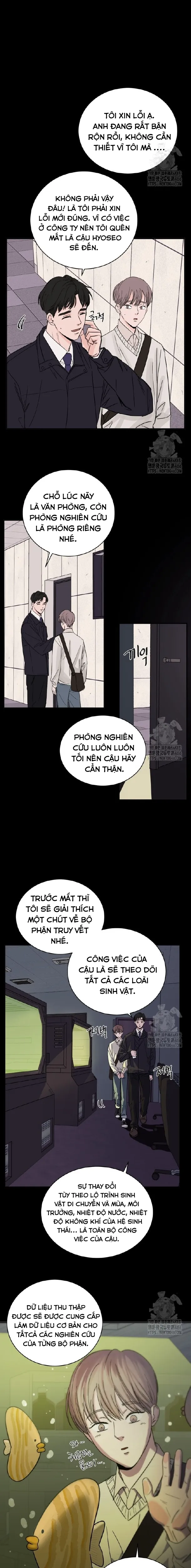 Cơn Thịnh Nộ Của Sóng Thần: Cách Săn Mồi Của Cá Voi Sát Thủ - Chương 1