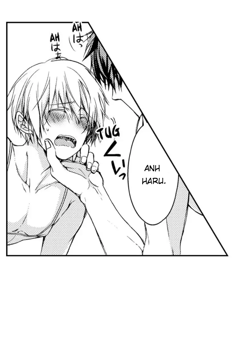 Cách quan hệ 3P với anh em nhà Tachibana! - Chap 7 