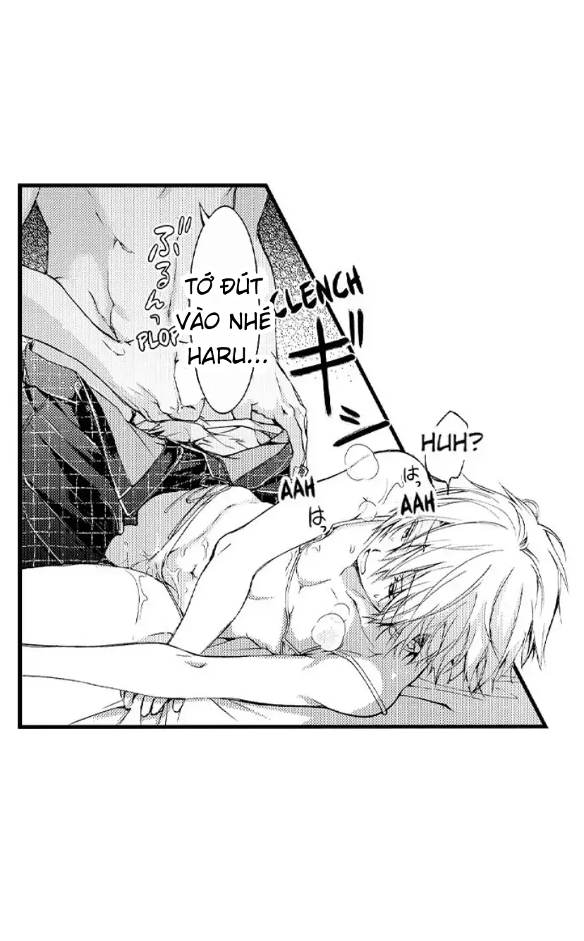 Cách quan hệ 3P với anh em nhà Tachibana! - Chap 7 