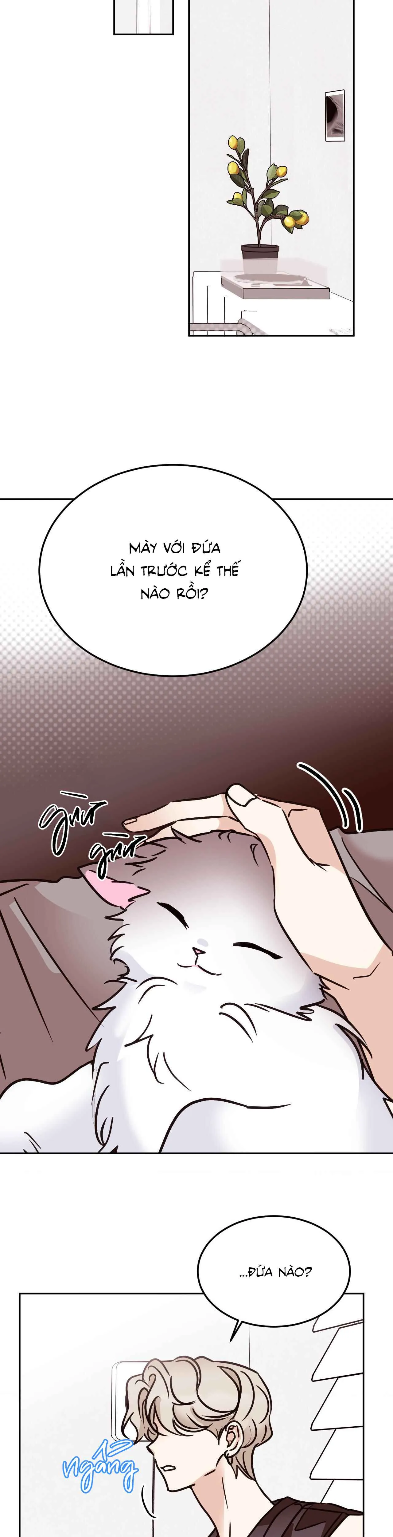 Duyên nợ oái oăm - Chương 37