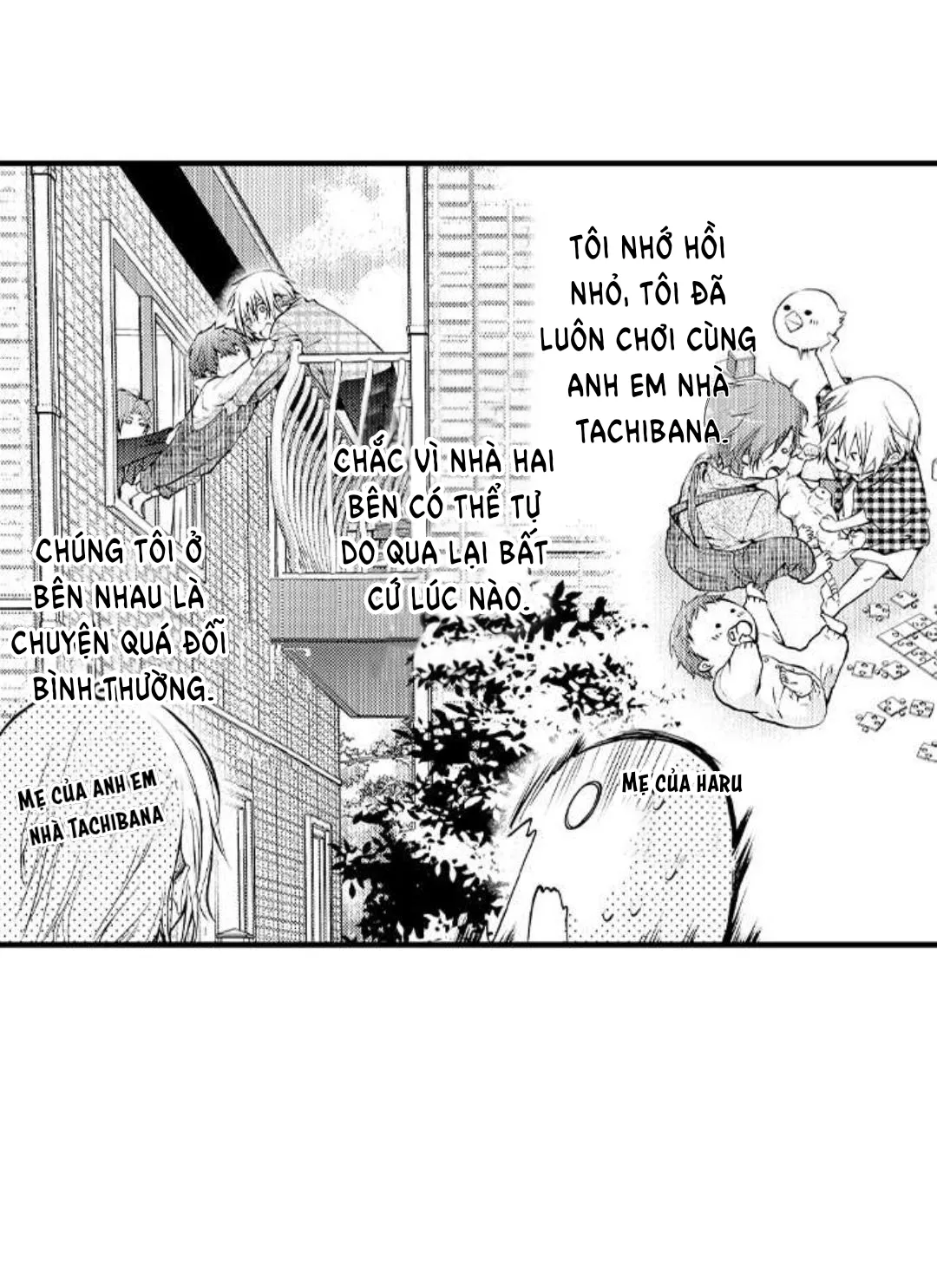 Cách quan hệ 3P với anh em nhà Tachibana! - Chap 1 