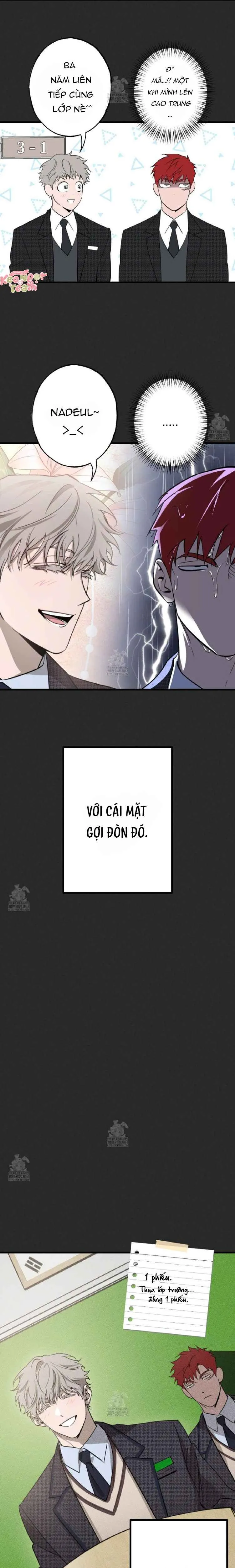Đừng Ném Đá Vào Cây Cầu Đá - Chương 2