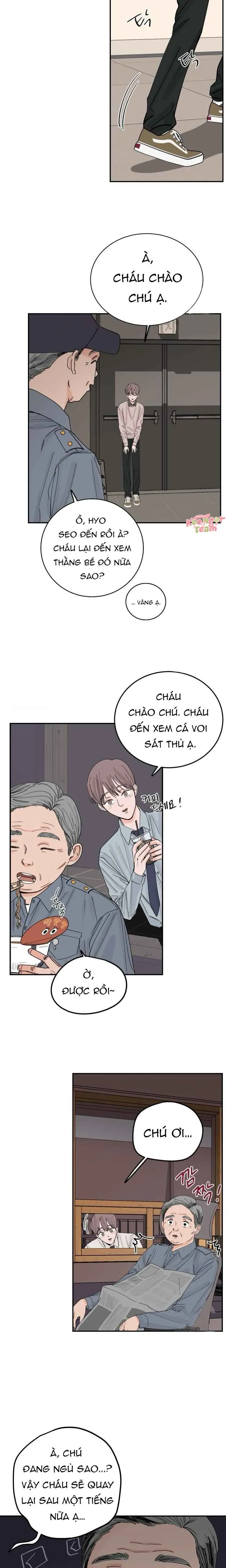 Cơn Thịnh Nộ Của Sóng Thần: Cách Săn Mồi Của Cá Voi Sát Thủ - Chương 3