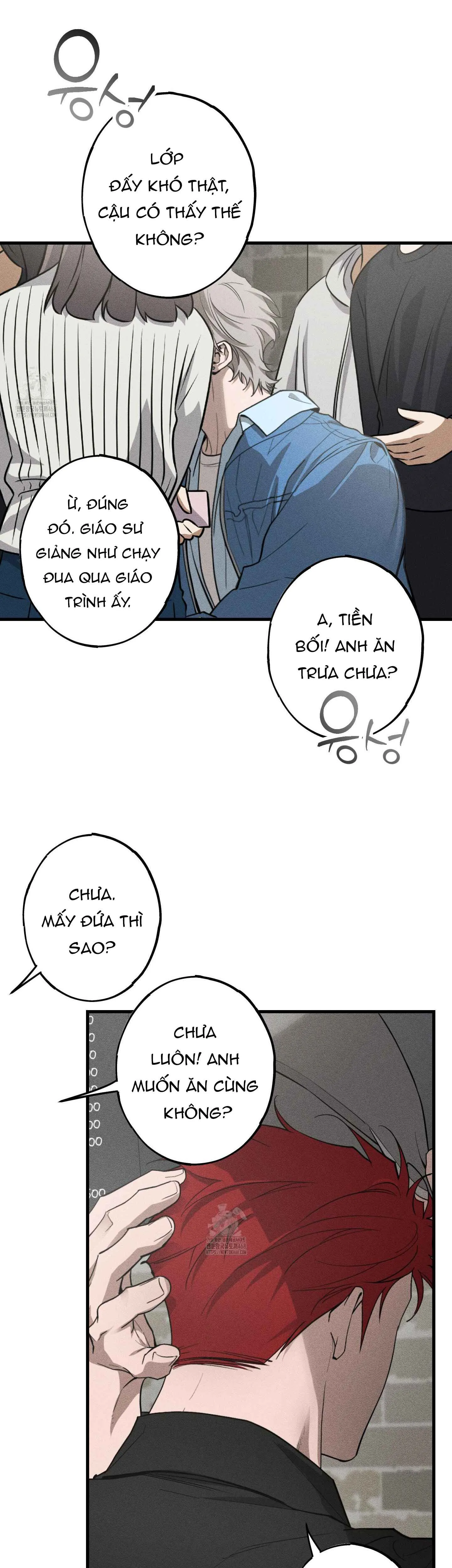 Đừng Ném Đá Vào Cây Cầu Đá - Chương 1