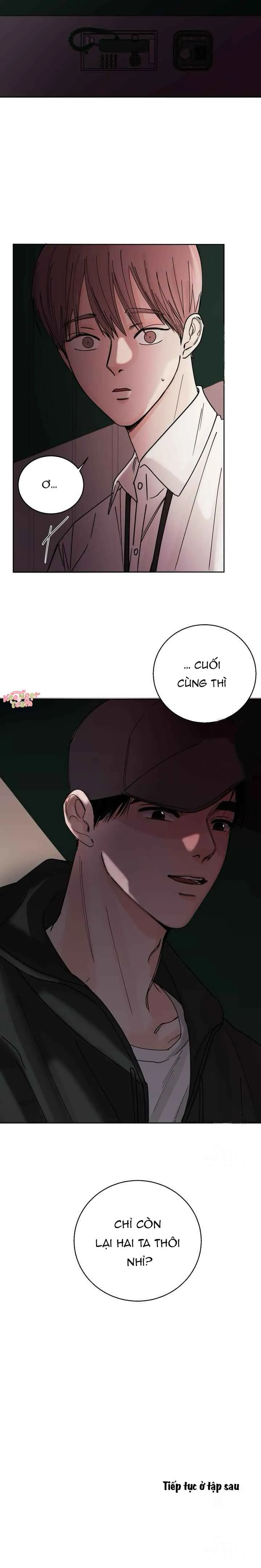 Cơn Thịnh Nộ Của Sóng Thần: Cách Săn Mồi Của Cá Voi Sát Thủ - Chương 3