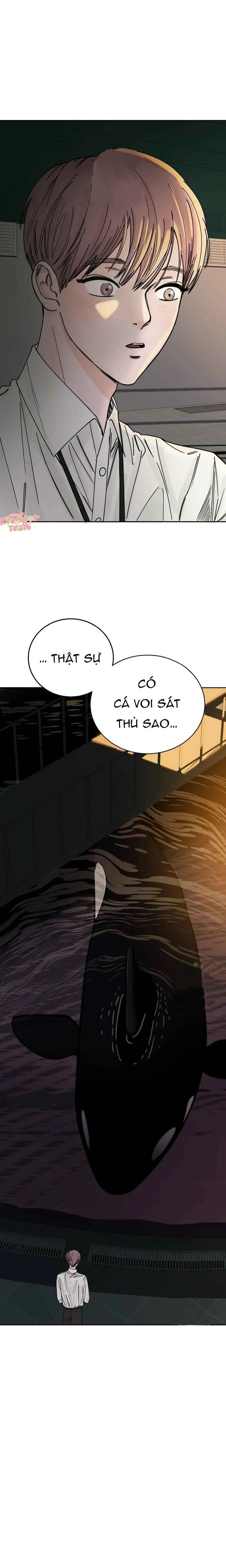 Cơn Thịnh Nộ Của Sóng Thần: Cách Săn Mồi Của Cá Voi Sát Thủ - Chương 3