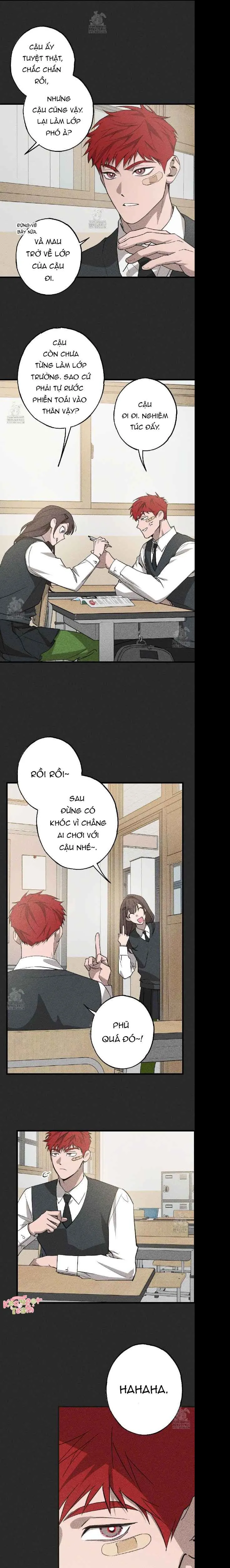 Đừng Ném Đá Vào Cây Cầu Đá - Chương 2