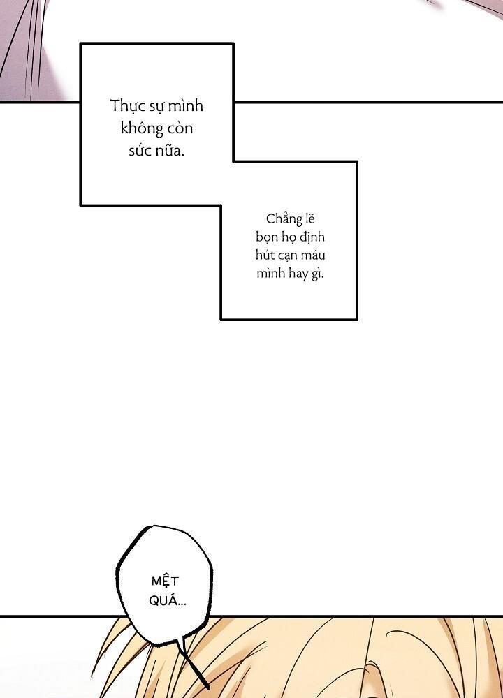 Hướng Dẫn Gần Tương Thích - Chương 16