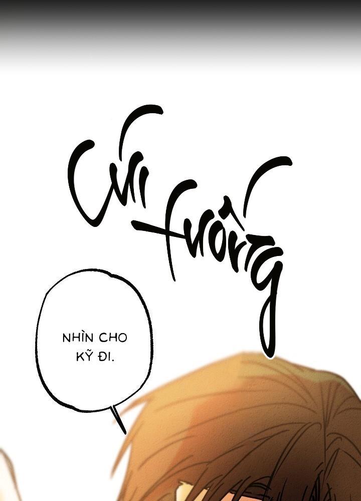 Hướng Dẫn Gần Tương Thích - Chương 17
