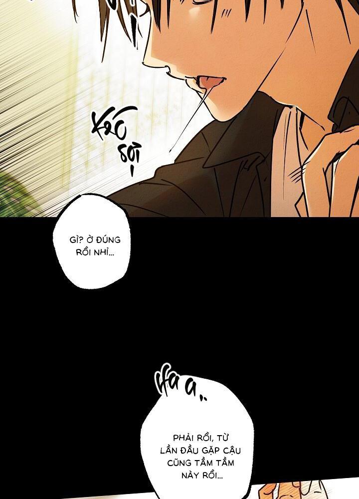 Hướng Dẫn Gần Tương Thích - Chương 17