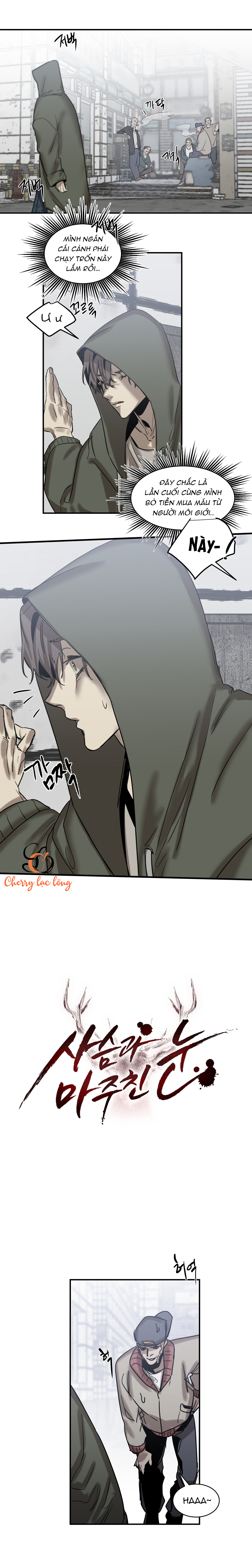 Chapter 91