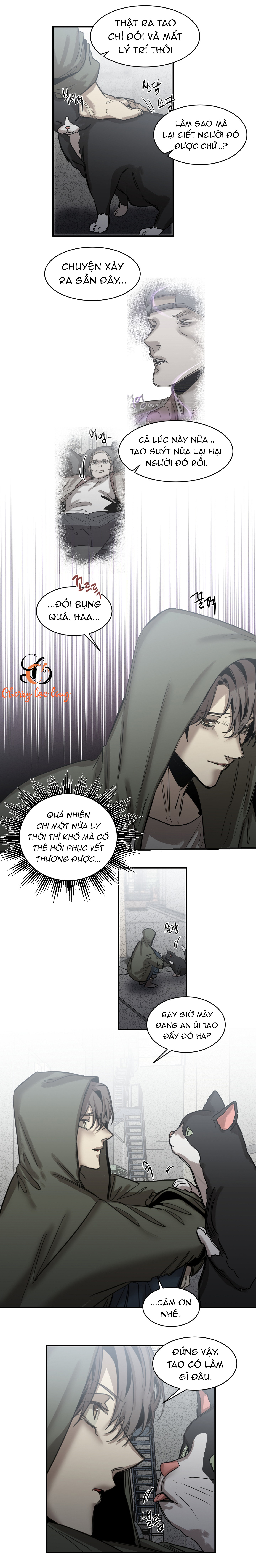 Chapter 91