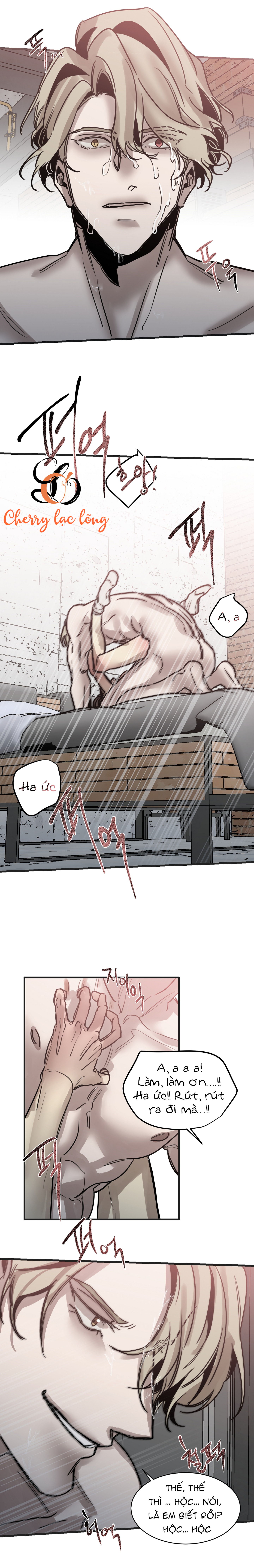 Chapter 126