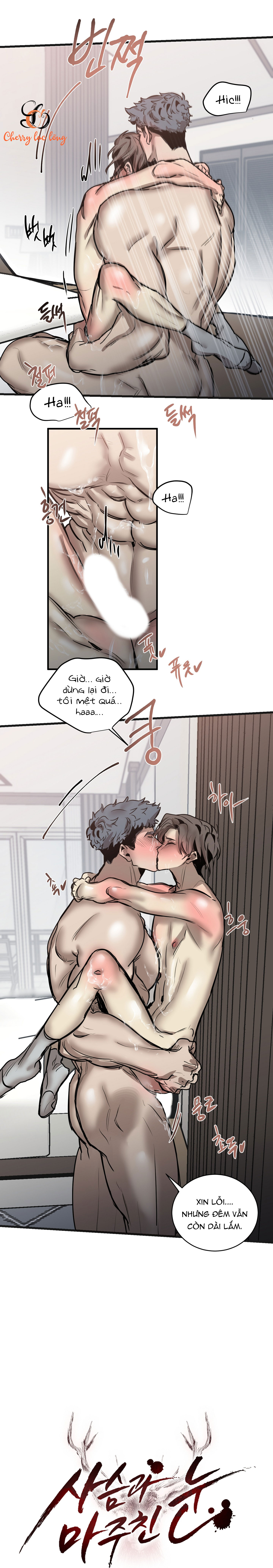 Chapter 97