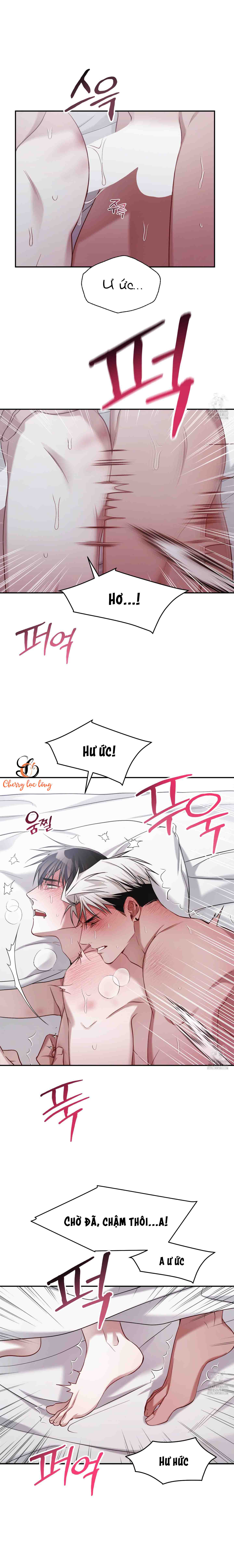 Chapter 164