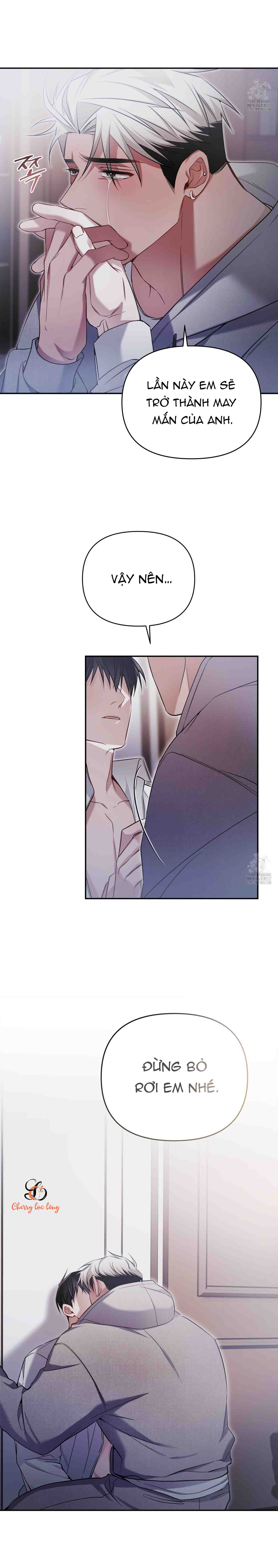 Chapter 164