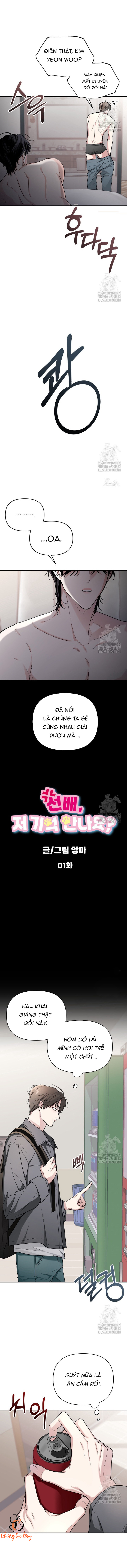 Chapter 196