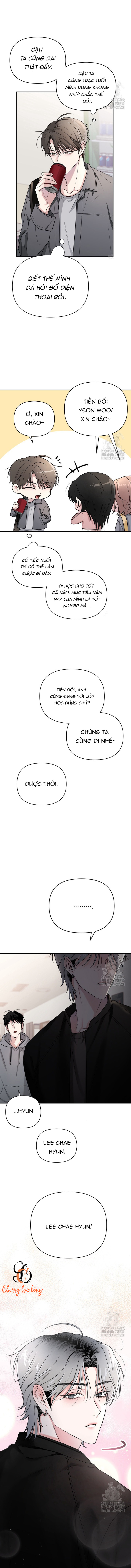 Chapter 196